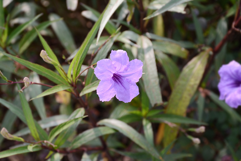 EVO视讯·(中国游)官方网站